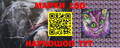 спиды Ставрополь