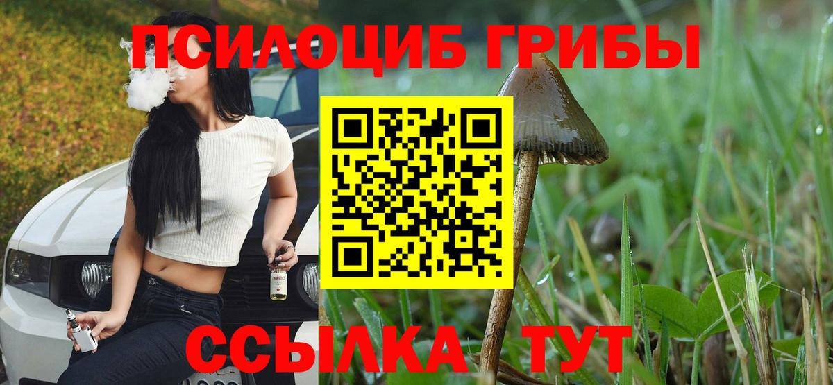 Москва  Галлюциногенные грибы ЛСД  Галлюциногенные грибы Psilocybine cubensis  Вход с VPN 